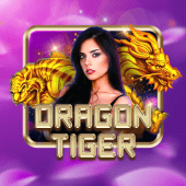 Dragon Tiger at 8k8 casino